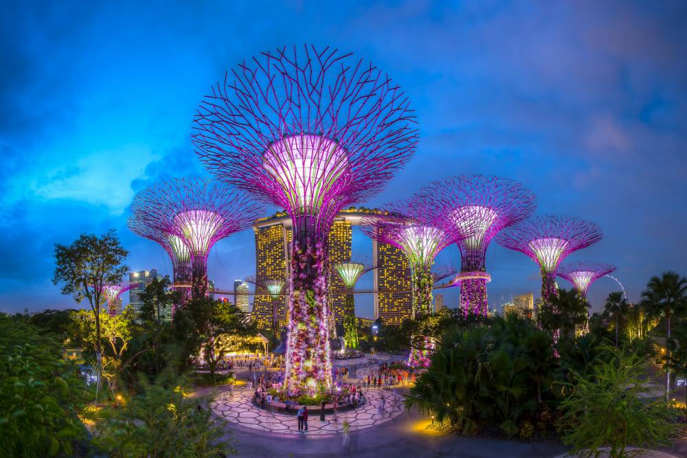 SUPERTREE GROVE in Gardens by the Bay Singapore Tickets, timings